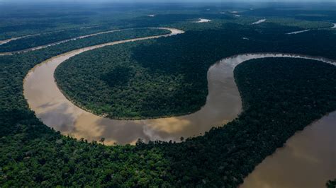 Amazon Region Leaders, Led by Lula, Sign a Rainforest Pact - The New ...