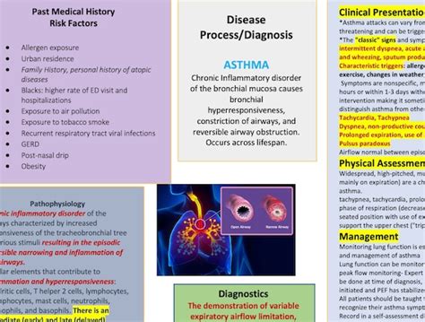 ASTHMA Concept Map and Study Guide - Etsy