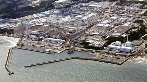 Fukushima: Discharge from Japan nuclear plant safe, tests show - BBC News