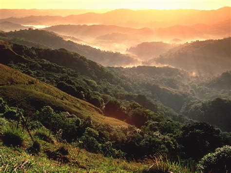 El Yunque Rainforest Puerto Rico picture, El Yunque Rainforest Puerto ...