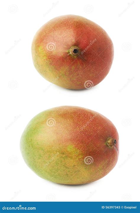 Single Mango Fruit Isolated Stock Image - Image of juicy, citrus: 56397343