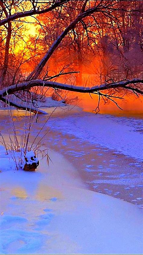 winter, sunset, evening, branches, tree, pond, cold, snow | Winter scenery, Winter sunset ...