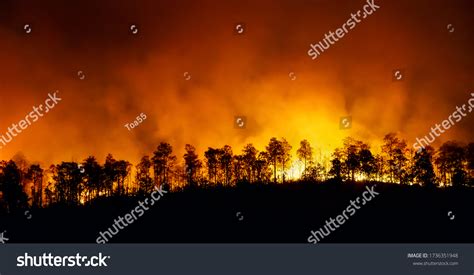 3,066 Forest Fire Causes Images, Stock Photos & Vectors | Shutterstock