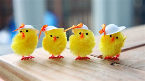 🔥 [50+] Easter Chick Wallpapers | WallpaperSafari