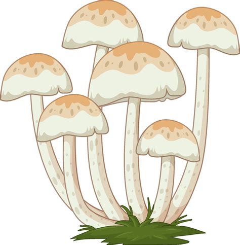 Fungi Clipart Set Of Cartoon Mushrooms Vector Fungi Clipart Cartoon ...