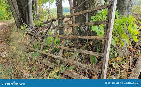 Weathered Wooden Gate, Abandoned in the Woods Stock Image - Image of outdoors, weathered: 291433663