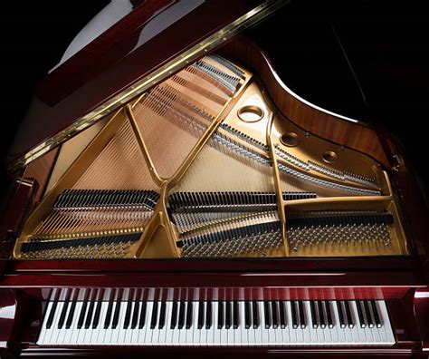 Royalty Free Grand Piano Pictures, Images and Stock Photos - iStock