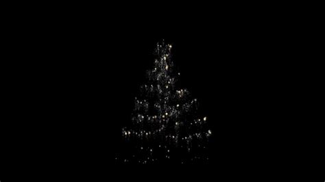 Christmas tree isolated on black background 15375457 Stock Video at Vecteezy