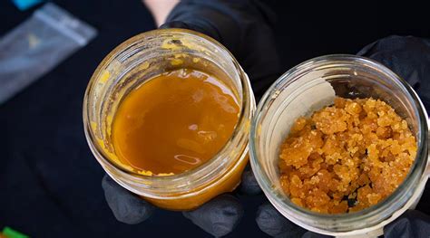 Cannabis Concentrates: Benefits, Types and Consumption Methods - Stoner ...