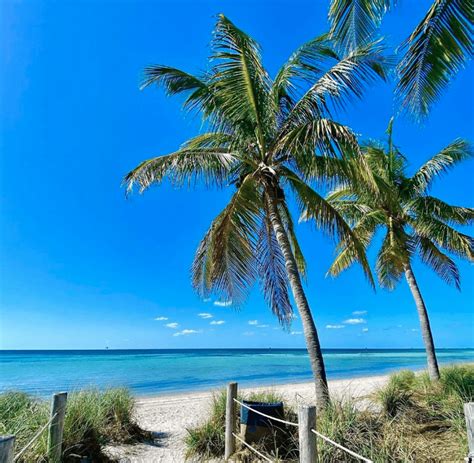 Florida Is Attracting More Young And Wealthy Newcomers Than Any Other State – Local News X