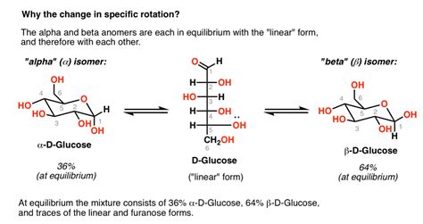 Mutarotation of glucose and other sugars – Master Organic Chemistry