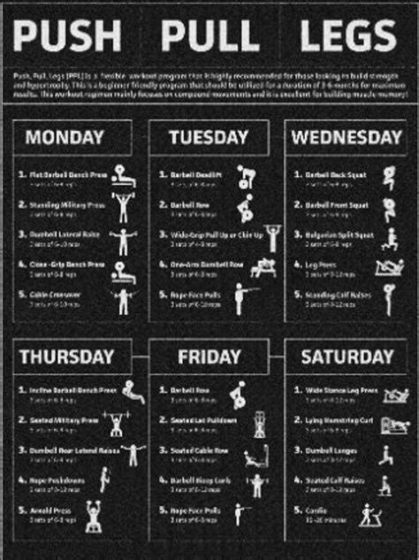 Weekly Workout Program Gym Planner Beginner Friendly Workout Plan, Amazing Workout Scheduler ...