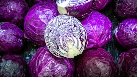 NATIONAL CABBAGE DAY - February 17 - National Day Calendar