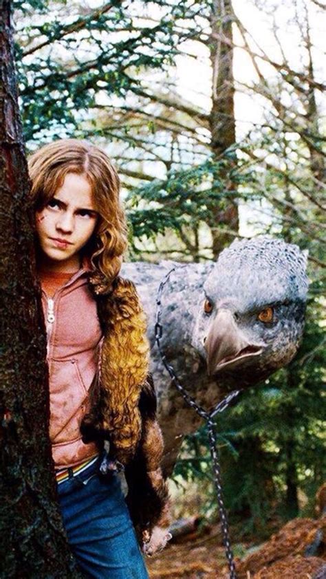 Hermione and Buckbeak Harry James Potter, Harry Potter Pictures, Harry Potter Quotes, Harry ...