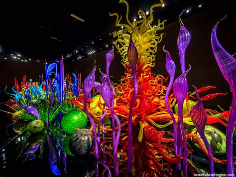 chihuly-garden-and-glass-212 - Be Bold, Be Booqify - tours and tour guides around the world