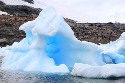 GOING ON ADVENTURES: Antarctic icebergs are incredibly gorgeous