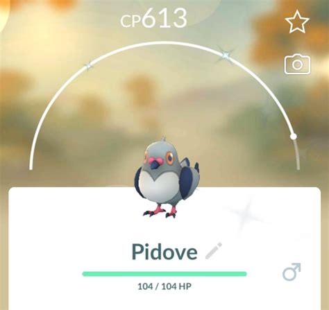 [pokemongo] Shiny Pidove, definitely going to use this on a new game in Shield : ShinyPokemon