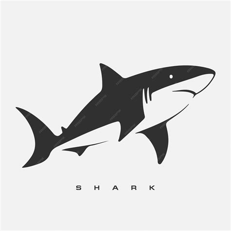 Premium Vector | Modern vector shark logo template