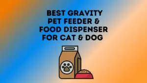 5 Best Gravity Pet Feeder & Food Dispenser For Cat & Dog - Pet Feeder Tips