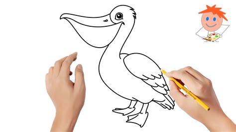 How to draw a pelican | Easy drawings - YouTube