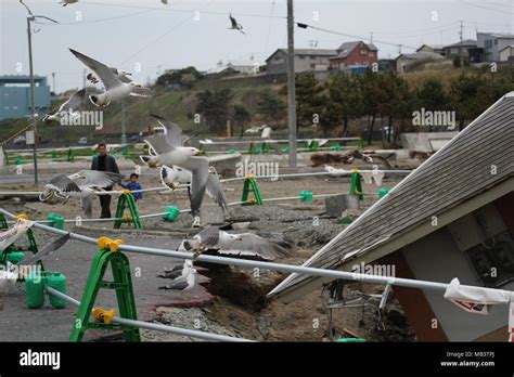 Images of the aftermath of the Great Tohoku Earthquake and Tsunami ...