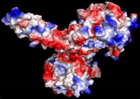 Kinesin Esthetics - Famous Proteins in Frames