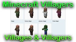 How many kinds of villagers are there? - Rankiing Wiki : Facts, Films, Séries, Animes Streaming ...