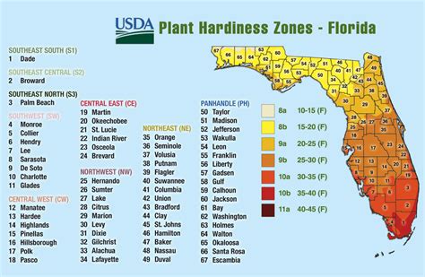 PlantFinder by Betrock Informatiom Systems. The Authority on Plant Information | Florida ...