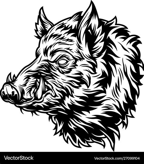 Vintage wild boar head with tusks Royalty Free Vector Image