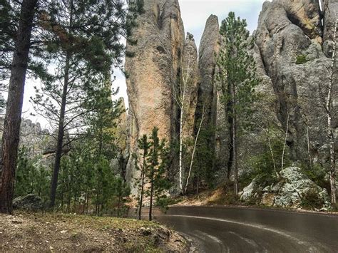 Why Is the Needles Highway Such An Amazing Experience? | Europe train travel, South dakota ...