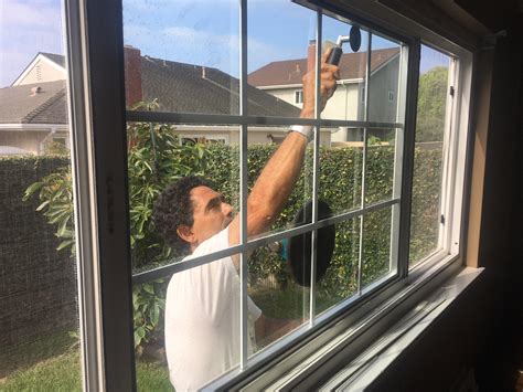 Types of Window Replacement Options and Which One Is Best For You