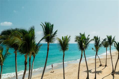 Punta Cana Weather April 2024 - Rona Carolynn