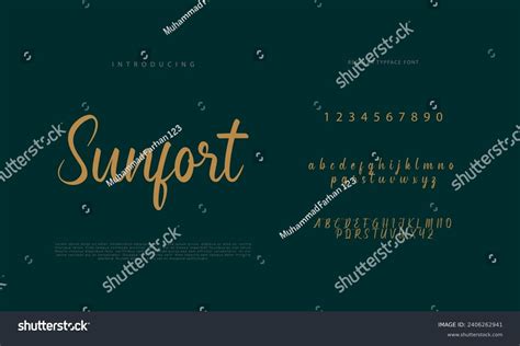 Signature Font Calligraphy Logotype Script Brush Stock Vector (Royalty ...