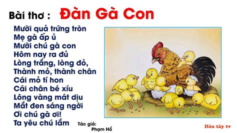 Bài thơ Đàn Gà Con | Thơ Mầm Non | Đọc thơ cho bé - Dâu tây tv - YouTube