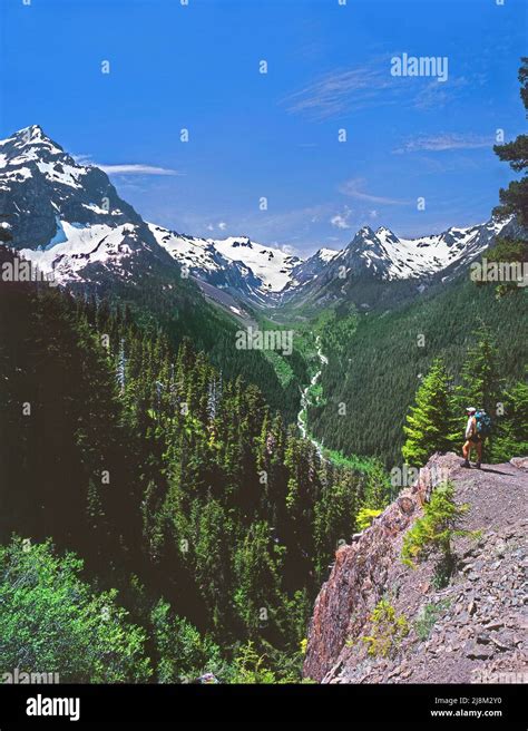 Trail to Glacier Meadows, Mt. Olympus, Olympic National Park ...