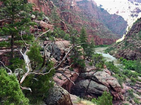 Balloon Juice - On The Road - TheOtherHank - The Green River in Dinosaur National Monument