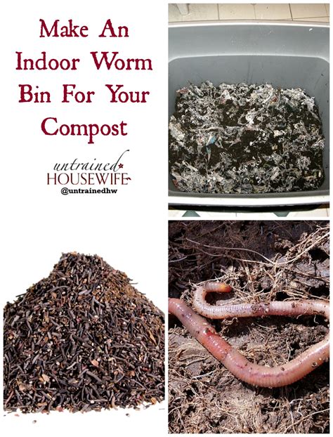 Make an Indoor Worm Compost