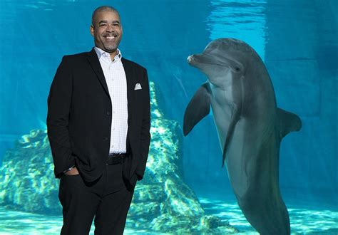 Clearwater Marine Aquarium’s new CEO shakes up leadership team ...