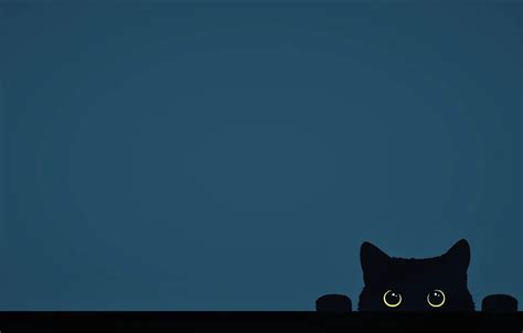 Black Cat Minimalist Wallpaper - PetsWall