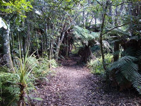 Waikato River Trails - Alchetron, The Free Social Encyclopedia