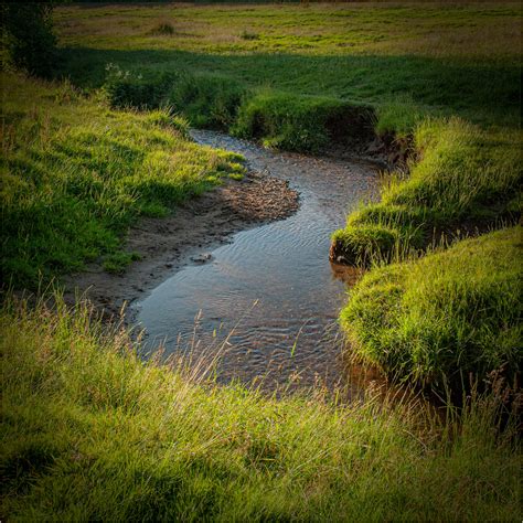 Coundon Wedge | Jaguar Photographic Society