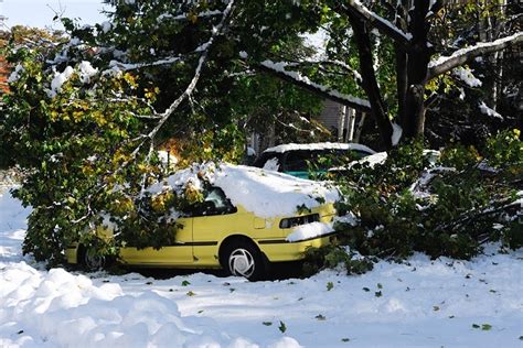 Tips on How You Can Fix Winter Storm Damage to Your Home - Water Damage ...