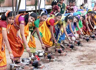 Pongal Festival Tamil Nadu