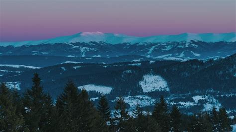 Aurora on the skyline of a winter landscape - Free Stock Video