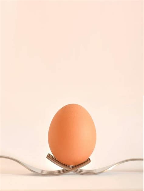 Egg on Gray Stainless Steel Forks · Free Stock Photo