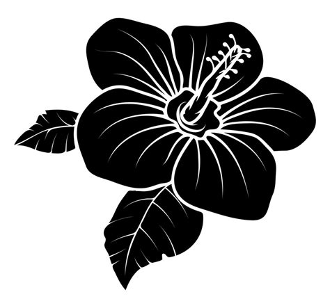 Lily Flower Vector Silhouette Royalty-Free Stock Image - Storyblocks