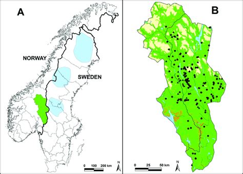 Study area. (A) Location of the study area Hedmark County in ...