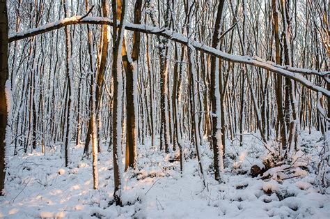 BLENDE TRÖLF • Winter is coming (Reinhein, Germany)