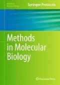 Immunocompetent Brain Organoids with Microglia Allow Advanced Aging Research | SpringerLink