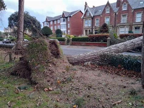 Devasting damage caused by Storm Arwen - Lytham St Annes News